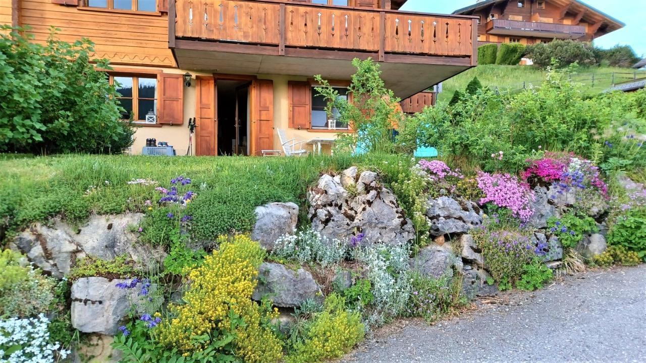 अपार्टमेंट Le Sapin Les Diablerets